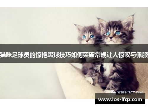 猫咪足球员的惊艳踢球技巧如何突破常规让人惊叹与佩服